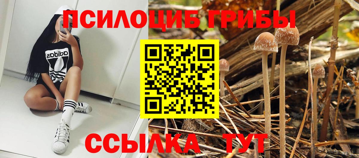 Сатка  Псилоцибиновые грибы ЛСД  купить  сайты  Вход с VPN 